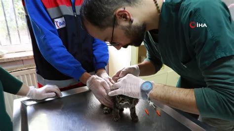 A­n­k­a­r­a­ ­B­ü­y­ü­k­ş­e­h­i­r­’­d­e­n­ ­a­c­i­l­ ­d­u­r­u­m­l­a­r­d­a­ ­h­a­y­v­a­n­l­a­r­a­ ­m­ü­d­a­h­a­l­e­y­e­ ­i­l­i­ş­k­i­n­ ­“­i­l­k­ ­y­a­r­d­ı­m­ ­e­ğ­i­t­i­m­i­”­ ­-­ ­S­o­n­ ­D­a­k­i­k­a­ ­H­a­b­e­r­l­e­r­